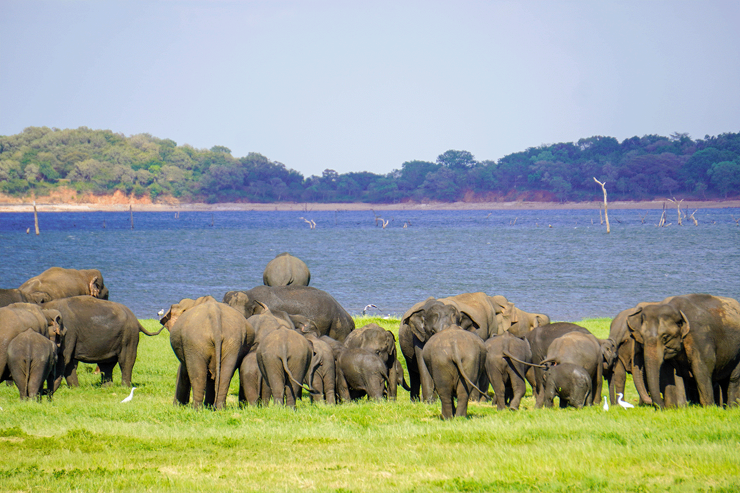 Kaudulla National Park
