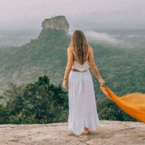 Dambulla / Pidurangala Rock and Minneriya National Park Half Day Safari